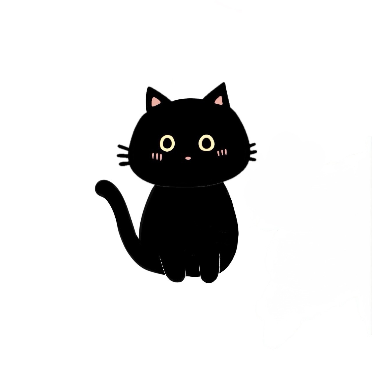 The curious black cat