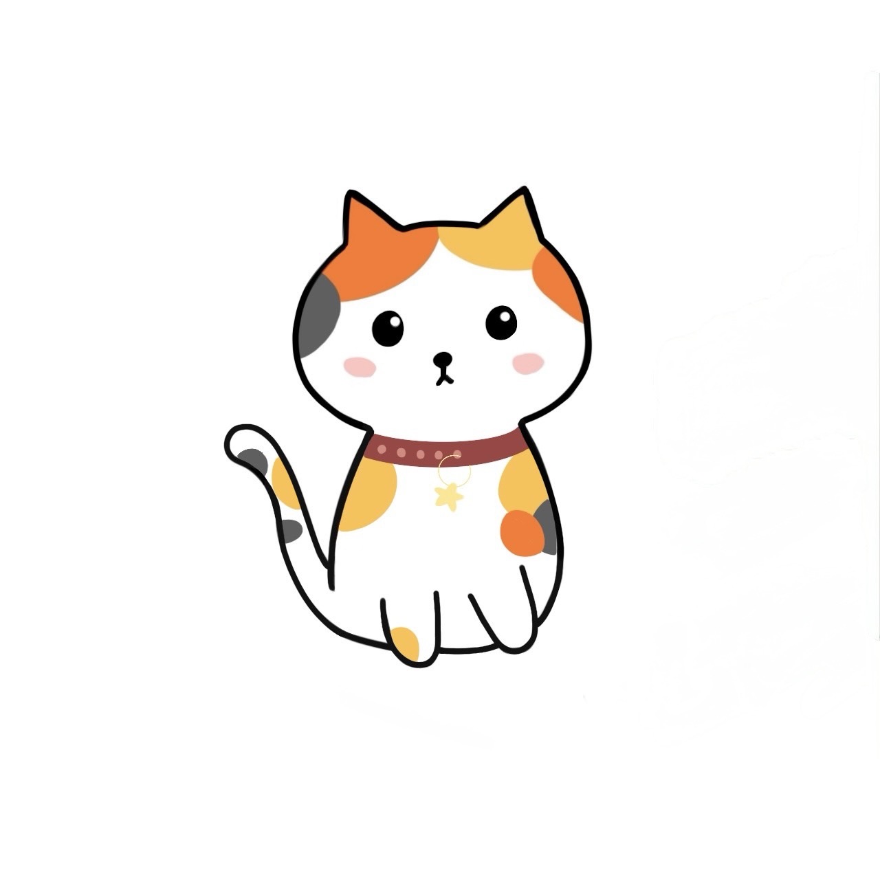 The starry little calico